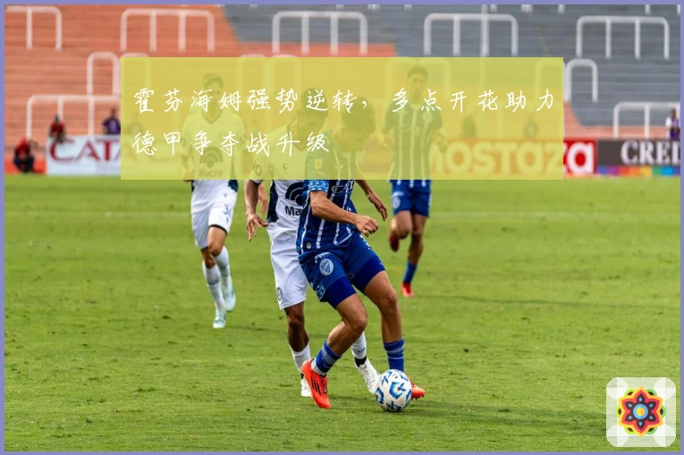 霍芬海姆强势逆转，多点开花助力德甲争夺战升级