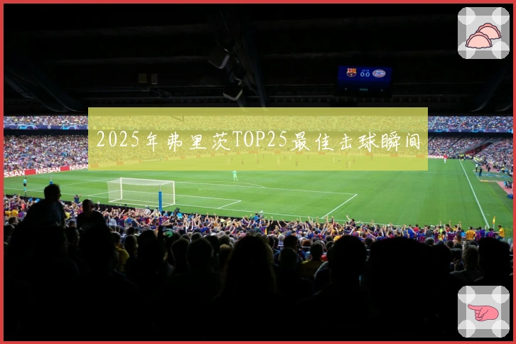 2025年弗里茨TOP25最佳击球瞬间