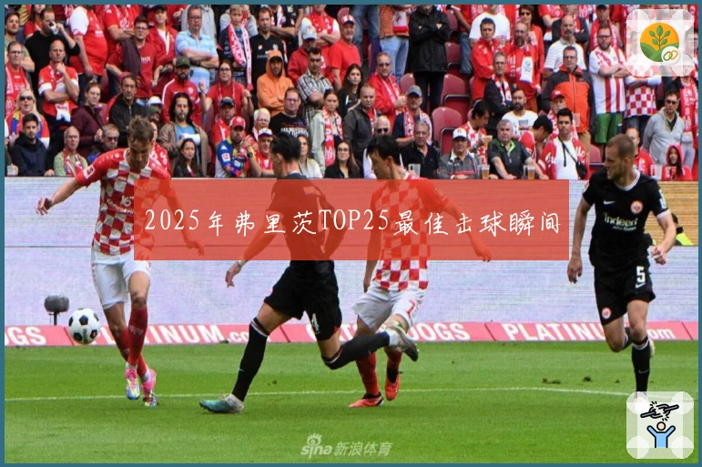 2025年弗里茨TOP25最佳击球瞬间