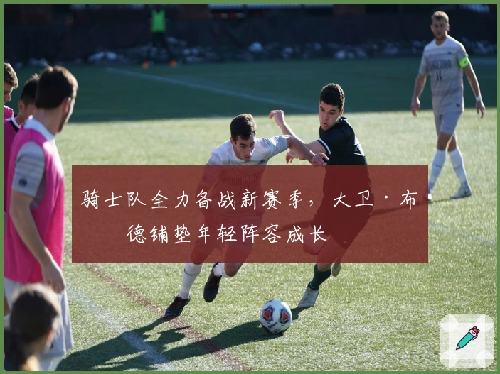 骑士队全力备战新赛季，大卫·布拉德铺垫年轻阵容成长