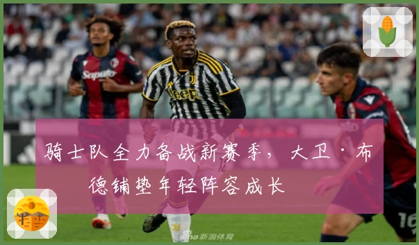 骑士队全力备战新赛季，大卫·布拉德铺垫年轻阵容成长